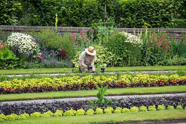 hombre haciendo mantenimiento jardin
